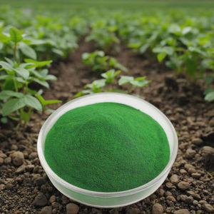 Poudre d'extrait d'algues vertes et <span class=keywords><strong>engrais</strong></span> efficace pour les nutriments et l'enracinement des plantes en flocons pour les cultures. - Product Image 5
