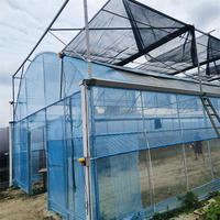 Serres agricoles à faible coût, tunnels à tomates, structure métallique, serre tropicale, serre multi-spans de 1000 m2, revêtement en film pour plantes