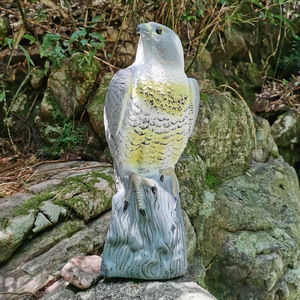 Le leurre et répulsif pour oiseaux de chasse et d'éloignement des aigles, pliable en 3D, réaliste, fabriqué en usine, pour équipement de chasse en extérieur - Product Image 3