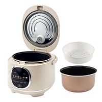 Cuisinière à riz intelligente avec revêtement antiadhésif personnalisé, pot intérieur en plastique, tasse doseuse, 220V, cuisson intelligente