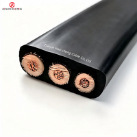 Kabel Submersible Datar JHSBP dengan Pelindung Anyaman Berisolasi EPR 450/750V untuk Motor Sumur Dalam