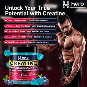 Gomitas para Desarrollo Muscular de Marca Privada, Nutrición Deportiva, Energía Post-Entrenamiento, Suplemento de Creatina Monohidrato, 60 Unidades para Adultos - Product Image 5