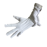 Bijoux de pièce de monnaie blanche Gants d'étiquette de travail personnalisés en argent doux Gants en coton pour la cérémonie et l'industrie