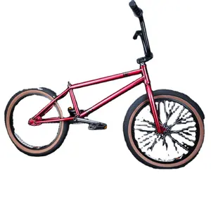 Personalizado 20 "alta la cromoly de tenedor y Bmx Bicicleta gorda