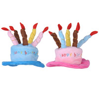 Festival Pet Puppy Produit Fournitures Accessoires Joyeux Anniversaire Fête Gâteau Jouet Chats Chiens Chapeau D'anniversaire Avec Des Bougies Colorées