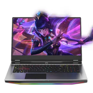 Panic Buying 17.3 Inch Ips Screen Core I9 10885H 144Hz 32Gb 64Gb Ram Cinema Sound Effects With Colorful Keyboard Gaming Laptop