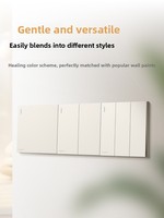 Prise murale encastrée Smart Life 16A à 3 prises, panneau en PC, design ultra-plat, indice IP20, réseau 5/6 pour l'air