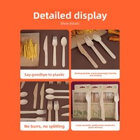 Ensemble de couverts jetables en bois pour desserts et glaces, emballés individuellement, respectueux de l'environnement, beige