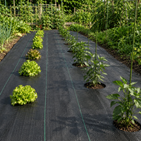 Toile de paillage noire en PP tissé, stabilisée aux UV, haute résistance, pour jardin, agriculture, pépinière et aménagement paysager