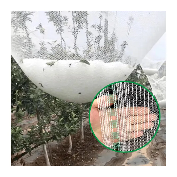 Made In China Agriculture Apple Tree Vineyard Orchard Most Anti Hail Nets Yemen Screenhouse Transparent Anti Hail Net