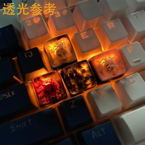 HZGAMER <span class=keywords><strong>ESC</strong></span> Keycaps Keycaps Résine - Product Image 6
