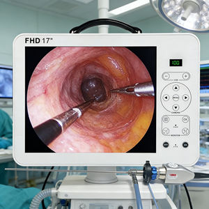 Caméra d'endoscopie portable <span class=keywords><strong>Shrek</strong></span> 17 pouces 4K, système d'endoscopie portable tout-en-un pour la chirurgie thoracique - Product Image 1