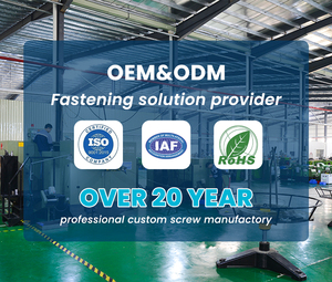 Bán Hot tùy chỉnh ngón tay cái vít cho trường hợp máy tính bìa với kích thước khác nhau - Product Image 4