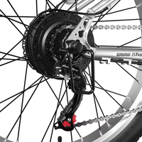 WindChaser E-Bike-Kit mit Akku 48V15Ah Lithium-Batterie DualDrive 1000W Hydraulische Scheibenbremsen 55km Reichweite mit Bicicleta Eltrica