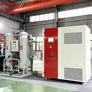 NUZHUO Nitrogen Gas Plant Manufacturer Mini Lab LN2 Machine PSA Liquid Nitrogen Generator For Sale