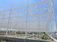 Hete Aanbieding: Op Maat Gemaakte Hoge Kwaliteit Grote Multi-Span Venlo Kas met Gehard Glas en Heetgedoopte Gegalvaniseerde Stalen Frame