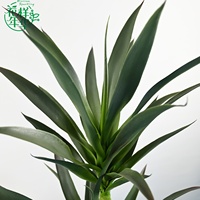 Plante artificielle en sisal en gros, 160 cm, décorative, en plastique, idéale pour l'aménagement intérieur (salon) et extérieur (paysage)
