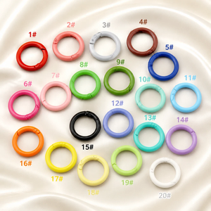 Anillo de resorte de metal de colores surtidos de 20/25/27/33mm, conector de llavero con anillo abierto, anillo de llavero para colgante de bolso - Product Image 4