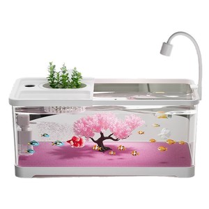 Nuovo Mini <span class=keywords><strong>Acquario</strong></span> 2026 con Pompa e Filtro, Ciotola in Vetro Trasparente, Grotta Rocciosa Nascondiglio, Bellissimo Setup per Acquascaping - Product Image 5