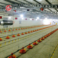 Nouveau système complet automatique de ligne d'abreuvement pour poulets de chair en poulailler, équipement d'élevage avicole 220V/380V/415V