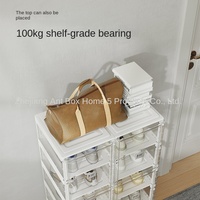 Boîte de rangement à chaussures rectangulaire pliable anti-poussière en PP de style européen Lener à 6 niveaux, 2 colonnes, 12 compartiments