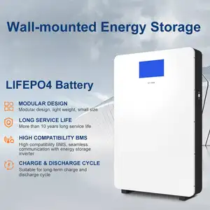 Wall Mounted 48V 51.2V 200Ah 10Kw 5KW Powerwall Lifepo4 Lithium Ion Battery Home Solar Energy System Powerwall Lithium Battery