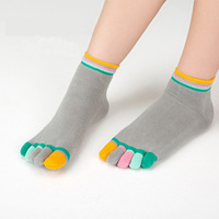 Chaussettes d'hiver pour femmes, cinq doigts, en pur coton, colorées, respirantes, absorbant la transpiration, avec boîte, vente en gros