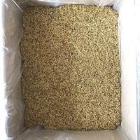 Thé aux fleurs d'osmanthus séchées 100 % naturelles Gui Hua, faible MOQ disponible, en sachet ou en vrac