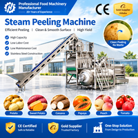 CE-gecertificeerde industriële stoomschilmachine voor de verwerking van aardappelen, cassave en fruit
