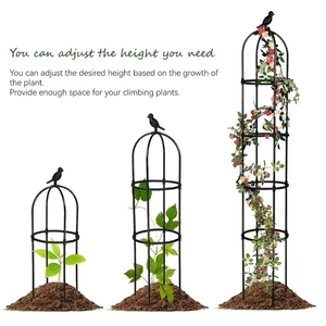 Vòng Vườn Nhà Máy Phát triển Leo Núi Lồng Hỗ Trợ Và Nhà Máy <span class=keywords><strong>Trellis</strong></span> <span class=keywords><strong>Obelisk</strong></span> Vườn Ngoài Trời Mây Sắt Nhà Máy Trong Nhà Đứng - Product Image 3