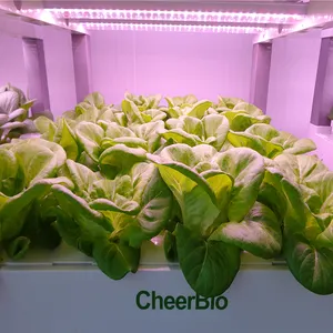 スカイプラント自動ホームプラントスマートテクノロジーインテリジェントガーデニングコンピューター温室水耕野菜栽培システム