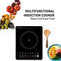 Cuisinière à induction électrique intelligente OEM 110V/220V 2024, vente chaude, application domestique