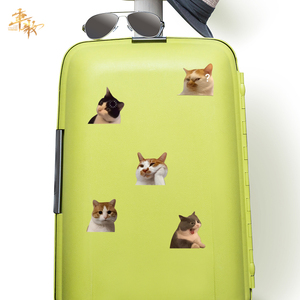 Creative Personaliti Cute Funny Meme Cat Notebook Equipaje Coche Pegatinas Reutilizable PVC 1 año de garantía Expresión sorprendida - Product Image 4