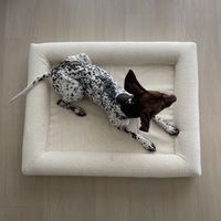 Lit orthopédique écologique pour animaux de compagnie pour chiens et chats canapé-lit en mousse à mémoire de forme motif solide emballage en Carton de couverture lavable amovible