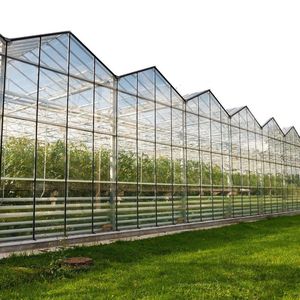 <span class=keywords><strong>Grande</strong></span> serre agricole multi-chapelles en acier galvanisé avec couverture en verre pour la culture de légumes - Product Image 5