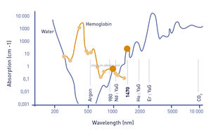 Dispositivo de terapia láser de diodo de 980 y 1470nm estándar de la UE y EE. UU. Para lipólisis/corte/fisioterapia/ginecología/hongos <span class=keywords><strong>en</strong></span> las uñas/PLDD/EVLT - Product Image 5