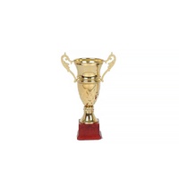Trophée personnalisé avec logo imprimé UV, en métal, or, bronze, fer, laiton, modèle sportif, artisanat populaire, cadeaux moulés
