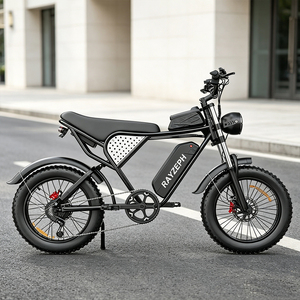 Vélo électrique tout-terrain à pneus larges avec moteur à moyeu haute vitesse 20 pouces 48V20Ah, suspension intégrale, frein à disque hydraulique SHIMANO 7 vitesses - Product Image 2