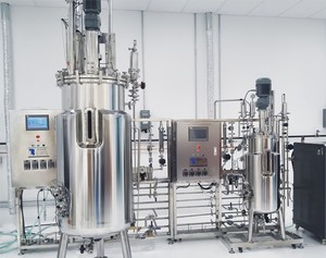 Airlift Industrial <strong>Fermenter</strong> <strong>Bioreactor</strong> - Product Image 4