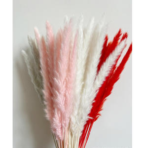 Éventail floral bohème, éventail oriental, <span class=keywords><strong>bouquet</strong></span> alternatif <span class=keywords><strong>de</strong></span> mariage en herbe <span class=keywords><strong>de</strong></span> la pampa, éventails en herbe <span class=keywords><strong>de</strong></span> la pampa - Product Image 6