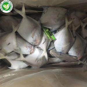 Fujian <span class=keywords><strong>Pomfret</strong></span> สีขาวแช่แข็ง (butterfish) - Product Image 5