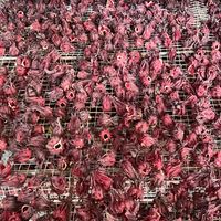 Boîte de fleurs séchées naturelles sans soufre de roselle et d'hibiscus 10kg, thé fleuri en gros, fleurs entières expédiées de Xinyouju Guangxi
