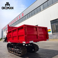OKEMAN 1-Tonnen-Diesel-Raupendumper Landwirtschaftlicher Transporter Muldenkipper mit Motor, Pumpe und Getriebe - Hocheffizient und Anpassbar