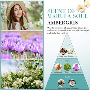 แชมพูสำหรับโรงแรมและล้างร่างกายแบบใช้แล้วทิ้งวัสดุสำหรับสัตว์เลี้ยงแบบรีไซเคิลได้จาก<span class=keywords><strong>โรงงาน</strong></span>จีน - Product Image 3