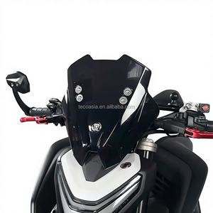 Pare-brise de moto TECO avec support en acier inoxydable et support de téléphone portable GPS pour Honda CB750 Hornet 750 2023-2024 - Product Image 1