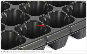 200 celdas enchufe bandejas <span class=keywords><strong>de</strong></span> semillas <span class=keywords><strong>de</strong></span> plástico <span class=keywords><strong>mango</strong></span> planta propagación bandejas <span class=keywords><strong>de</strong></span> plántulas vivero <span class=keywords><strong>de</strong></span> plástico - Product Image 6