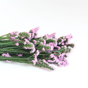 Flor Preservada Don't Forget Me, Regalo para el Día de San Valentín, Decoración de Bodas, Recuerdos de Boda, Esencial para San Valentín - Product Image 4