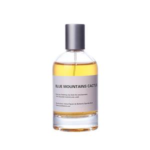 Flacone di Profumo in Vetro Vuoto di Alta Qualità con Scatola, Lussuoso 30ml/50ml/100ml, Serigrafia, Erogatore a Pompa, Servizio 24 Ore - Product Image 6