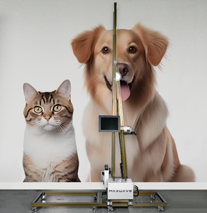 Images <span class=keywords><strong>de</strong></span> <span class=keywords><strong>dessin</strong></span> à jet d'<span class=keywords><strong>encre</strong></span> <span class=keywords><strong>de</strong></span> vernis numérique en béton/verre et céramique <span class=keywords><strong>Encre</strong></span> éco-solvant pour Machine d'impression murale 3D UV - Product Image 3