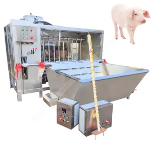 schweineerschlachthaus 10 köpfe pro tag schweineerschlachthauszubehör schweinehaarentfernungsmaschine